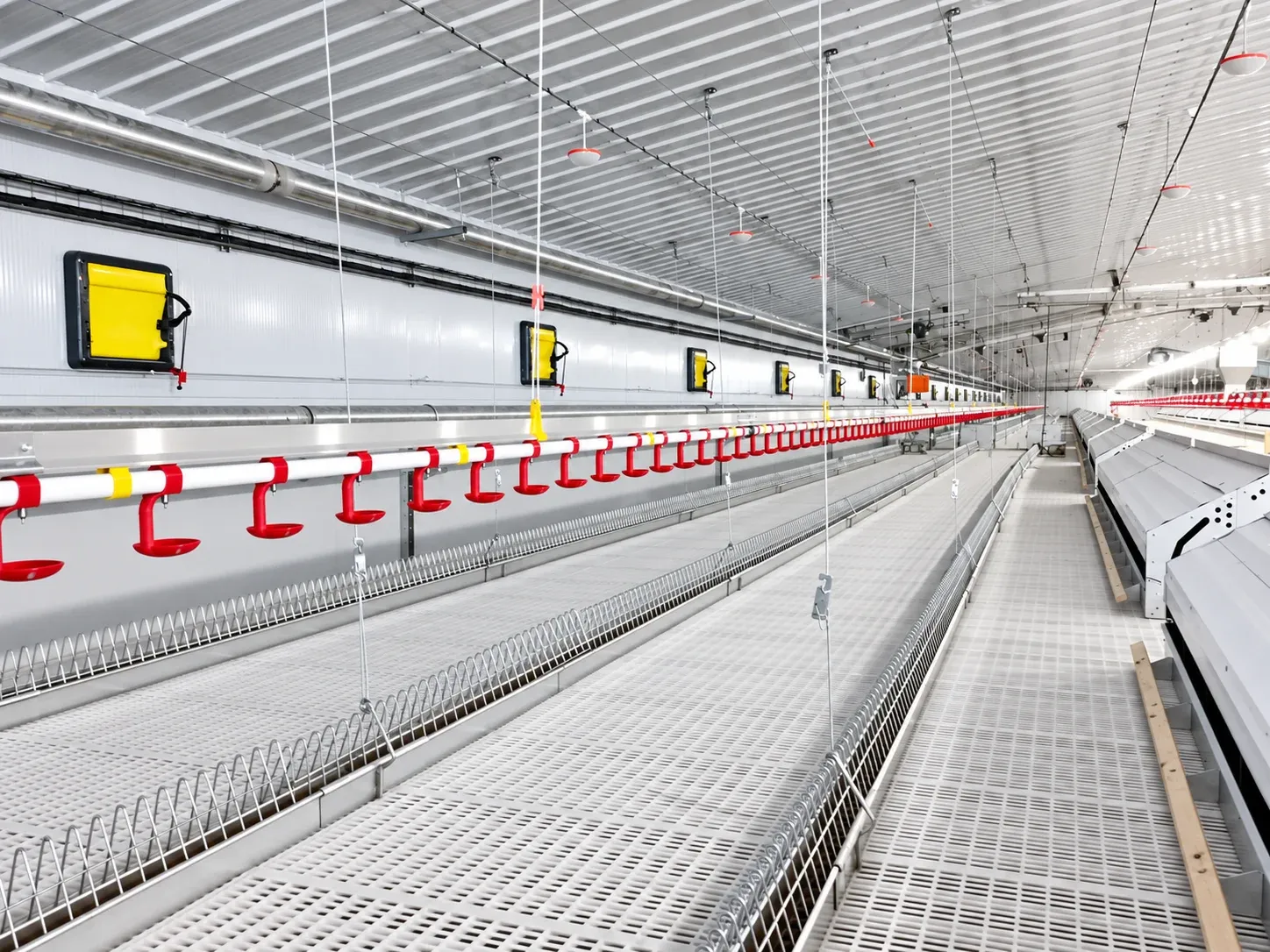 Drinking lines above perforated flooring