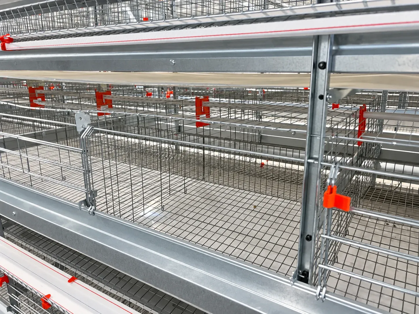 Cage mesh and drinking-line arrangement