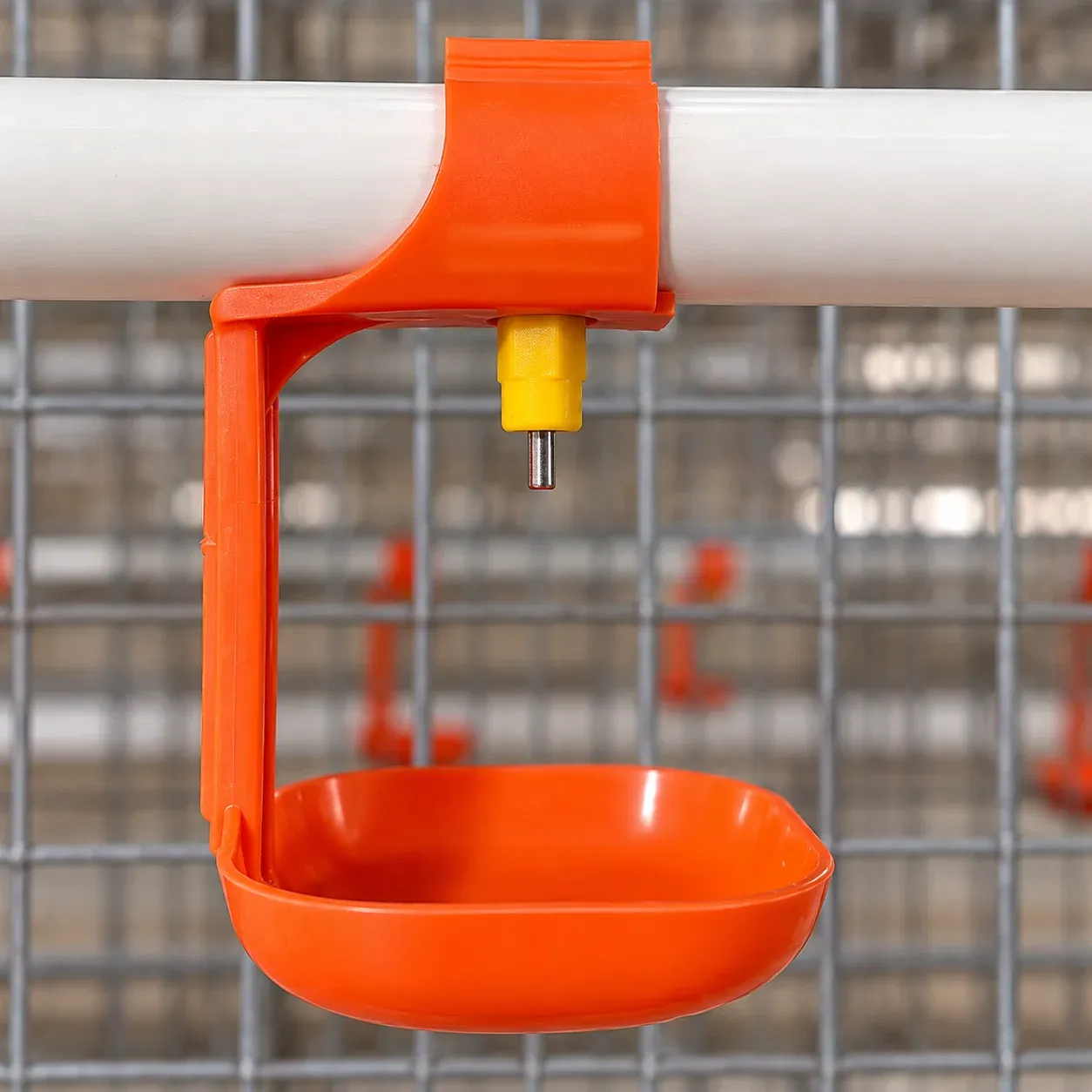 Automatic Nipple Drinking System