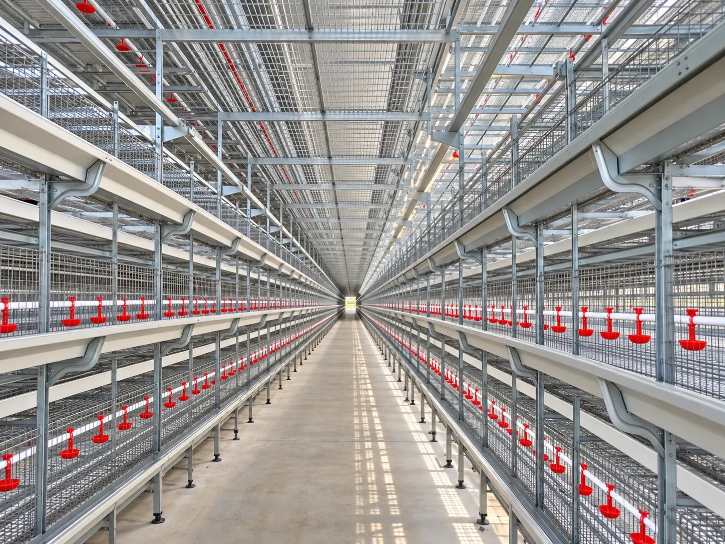 Central access aisle between brooding cages